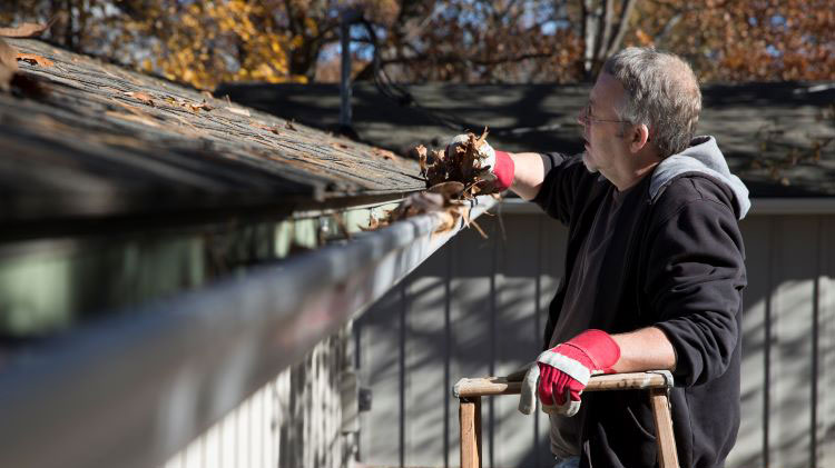 Infographic that shows how to spot a roof leak and what to do if you have one.