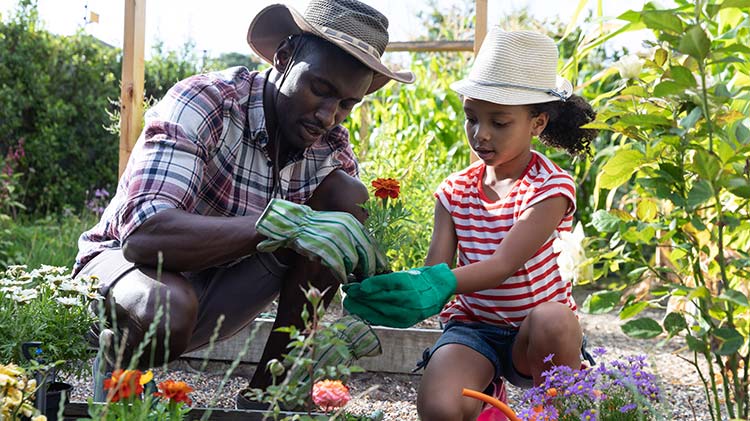 Father and daughter celebrating Earth Day by planting flowers.