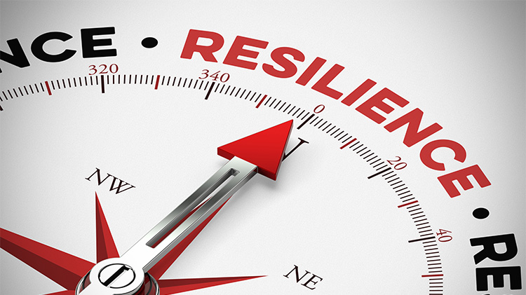 Resilience compass.