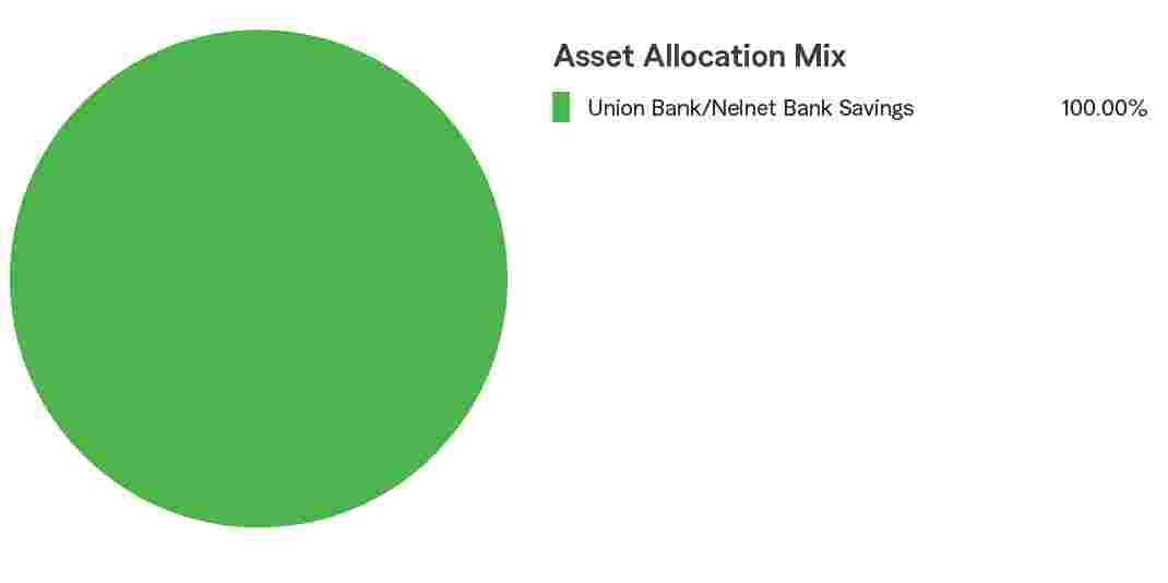 Pie Chart illustrating the Asset Allocation Mix for the State Farm® 529 Savings Plan Bank Savings Static Option. Bank Savings 100%.